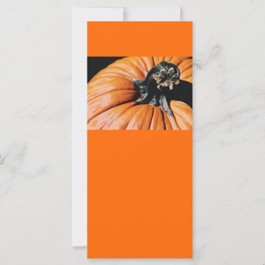 PUMPKIN! (Front)