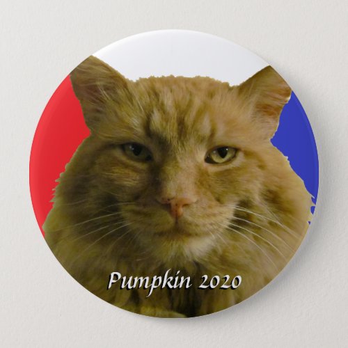Pumpkin 2020 Cat Meme Election Campaign Button