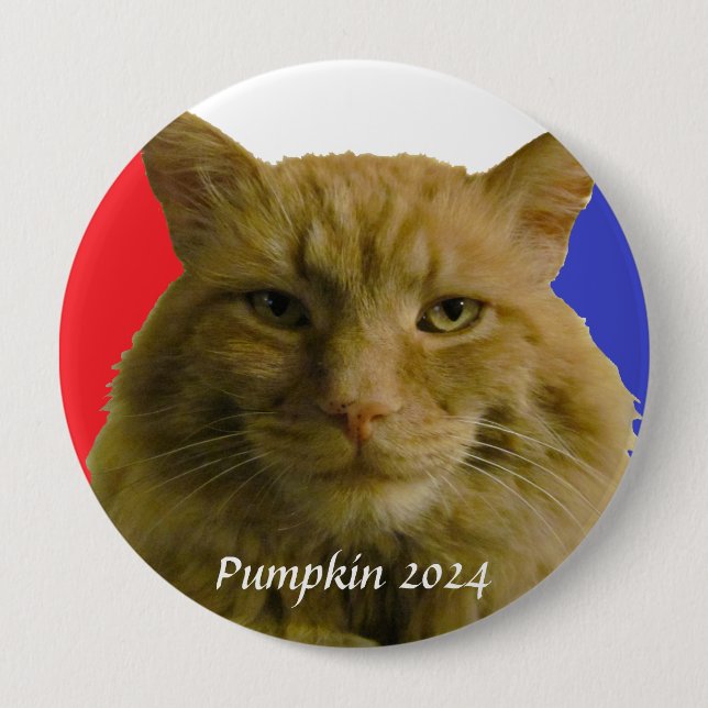 Pumpkin 2024 Election Campaign Pinback Button (Front)