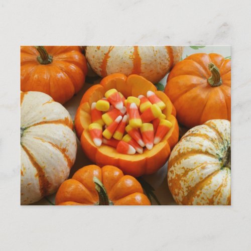 Pumpkin and Candy Corn Postcard