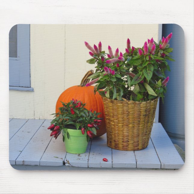 Pumpkin and Pepper Plant - Martha's Vineyard Mouse Pad (Front)