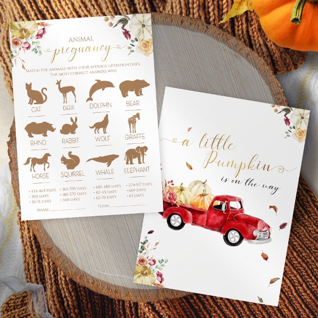 Pumpkin Animal Pregnancy Fall Baby Shower Game Invitation (Creator Uploaded)