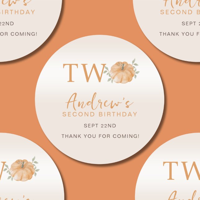 Pumpkin Autumn Fall Second 2nd Birthday  Classic Round Sticker (Creator Uploaded)