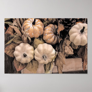 Pumpkin Autumn Orange White Brown Vintage Antique Poster