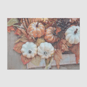 Pumpkin Autumn Orange White Vintage Antique Tissue Paper