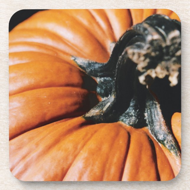 Pumpkin Beverage Coaster (Front)