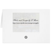 Pumpkin Boat (Back Horizontal)