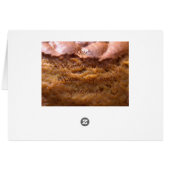 Pumpkin Bread No Place Like Home Cards (Back Horizontal)
