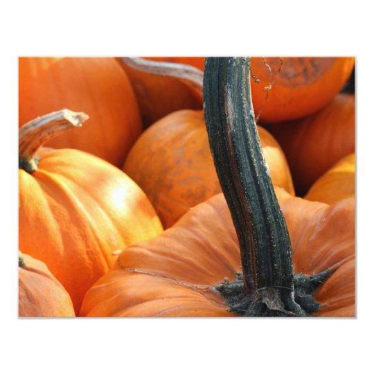 Pumpkin close-up card
