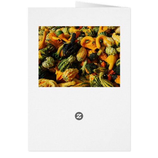 Pumpkin Collage, Yellow Interior (Back)