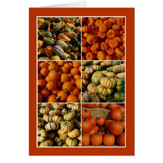 Pumpkin Collage, Yellow Interior Cards (Front)