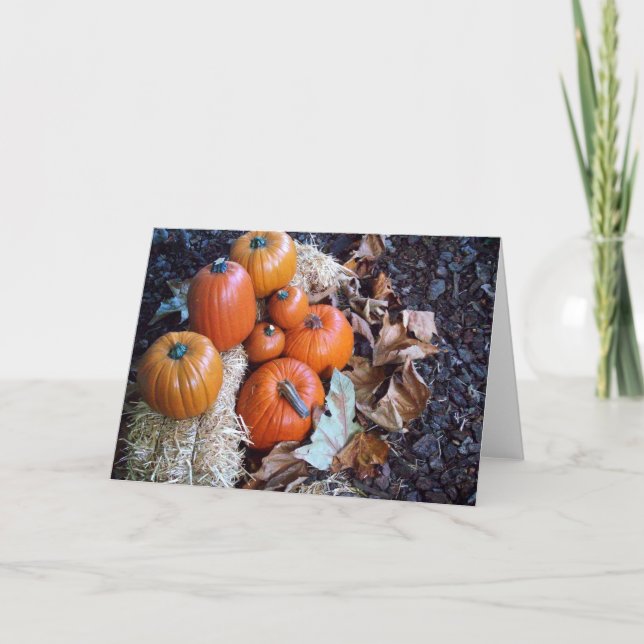 Pumpkin display greeting card (Front)