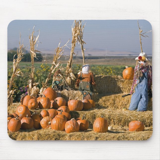 Pumpkin display with hay bales and scarecrows mouse pad (Front)
