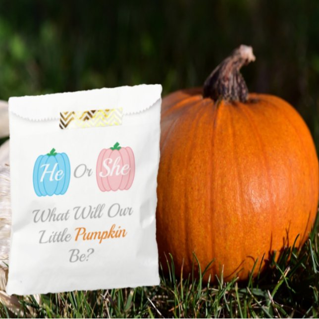 Pumpkin Fall Gender Reveal Favor Bag (Creator Uploaded)