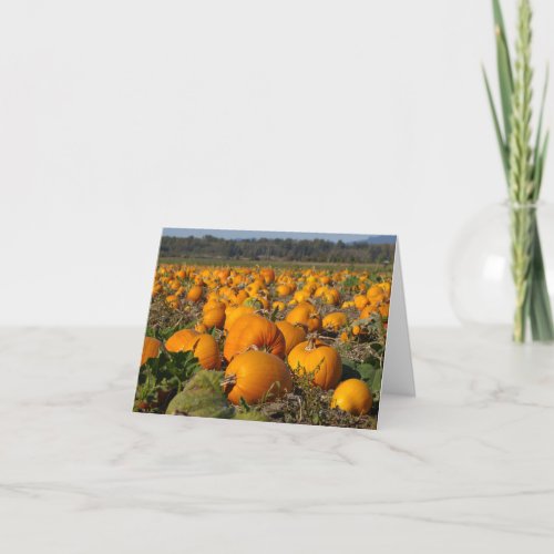 Pumpkin farm pumpkins pumpkin patch promotion thank you card