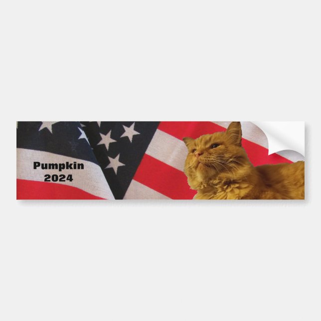Pumpkin For President Flag Background Bumper Stick Sticker (Front)