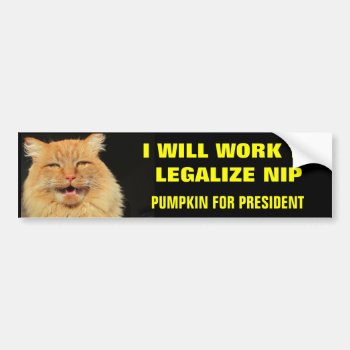 Pumpkin For President Legalize Nip- Bold Bumper Sticker by talkingbumpers at Zazzle