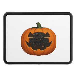 Pumpkin Full of Kittens - Cute Black Cat Halloween Hitch Cover