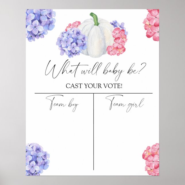 Pumpkin Gender reveal Boy or Girl chart (Front)