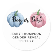 Pumpkin gender reveal classic round sticker