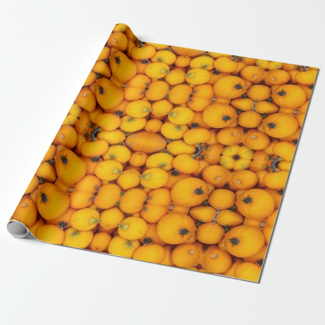 PUMPKIN GIFTWRAP WRAPPING PAPER (Unrolled)