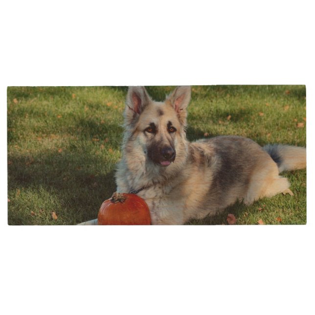 Pumpkin GSD Wood Flash Drive (Front)