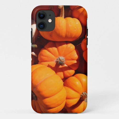 Pumpkin halloween jack o lantern orange pumpkins iPhone 11 case