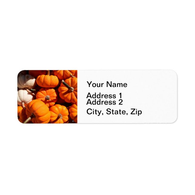 Pumpkin halloween jack o lantern orange pumpkins label (Front)