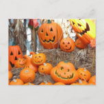 Pumpkin halloween jack o lantern orange pumpkins postcard
