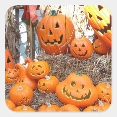 Pumpkin halloween jack o lantern orange pumpkins square sticker