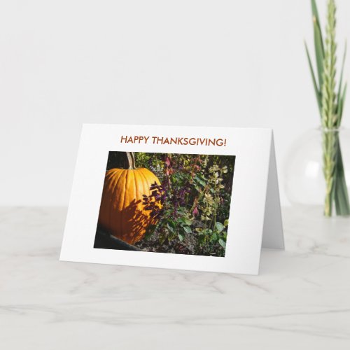 Pumpkin HAPPY THANKSGIVING Holiday Card