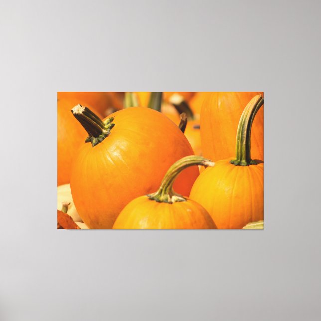 PUMPKIN HARVEST 60 X 40 WRAPPED CANVAS PRINT (Front)