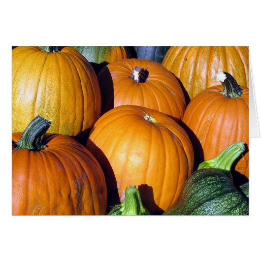 Pumpkin Harvest Cards (Front Horizontal)