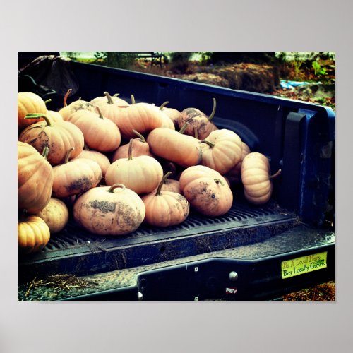 Pumpkin Harvest On Pickup Truck Fall Poster