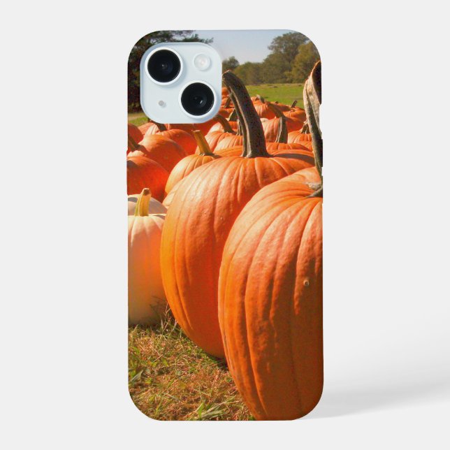 Pumpkin Harvest, Pumpkin Patch Pumpkins Iphone Case (Back)