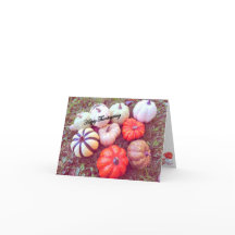 Pumpkin Harvest Thanksgiving Folded Holiday Card