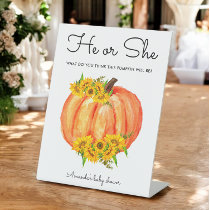 Pumpkin He or She Gender Reveal  Pedestal Sign