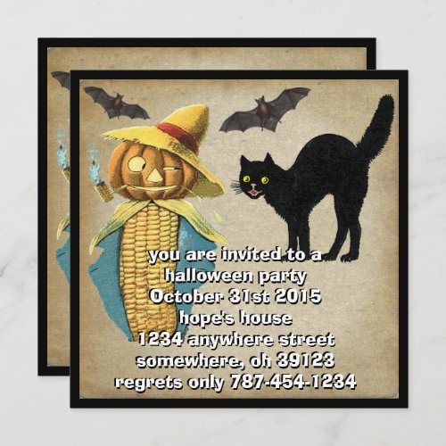 Pumpkin Head Black Cat Bats Halloween Party Invite