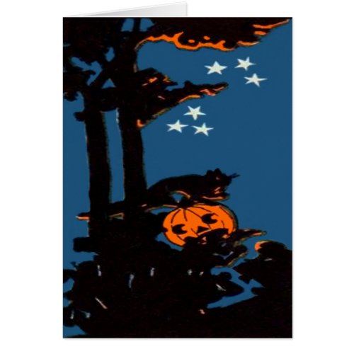 Pumpkin Jack O Lantern Cat Orange Black