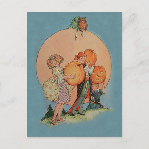 Pumpkin Jack O Lantern Goblin Owl Pirate Postcard