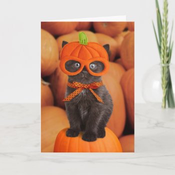 Pumpkin Kitten Halloween Card by lamessegee at Zazzle