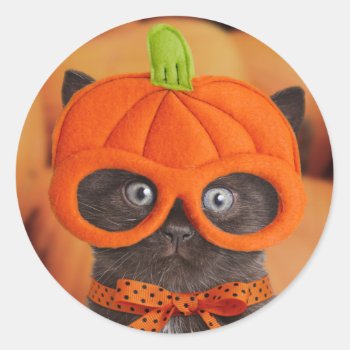 Pumpkin Kitten Halloween Stickers by lamessegee at Zazzle