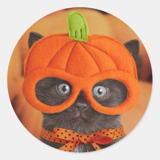 Pumpkin Kitten Halloween Stickers