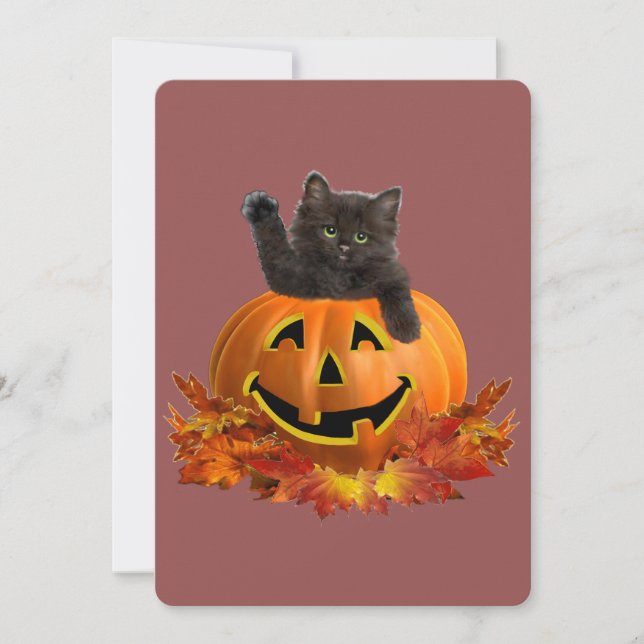Pumpkin Kitty (Front)