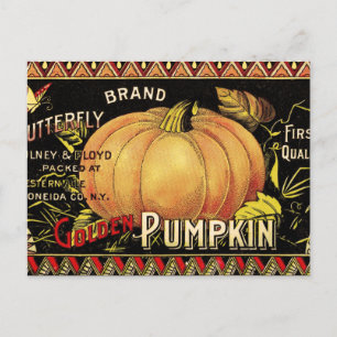 Pumpkin Label Antique Butterfly Brand Postcard