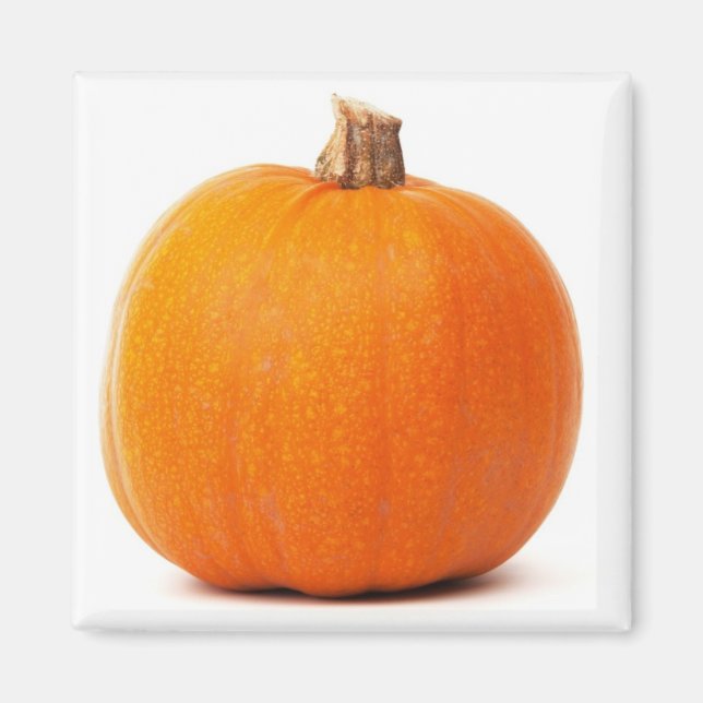 Pumpkin Magnet (Front)