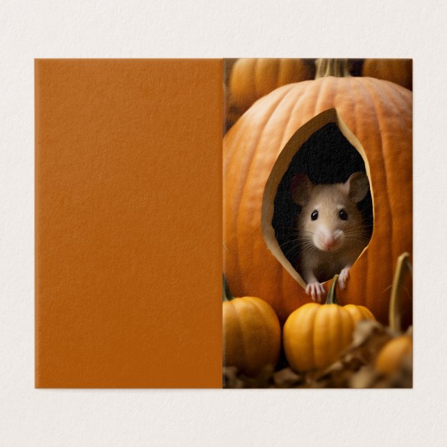 Pumpkin Mouse (Outside Unfolded)