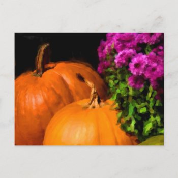 Pumpkin Mums Postcard by artinphotography at Zazzle