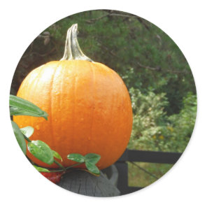 Pumpkin on Black Fence Classic Round Sticker