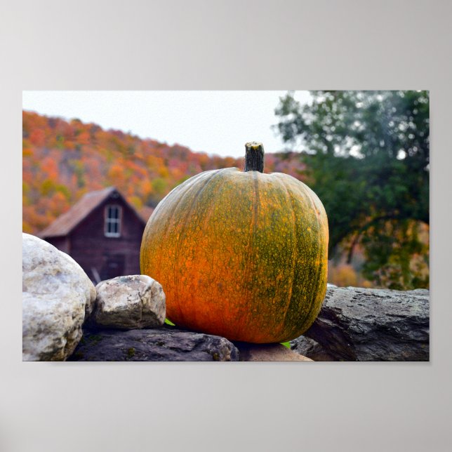 Pumpkin on Rock Wall in Vermont, Autumn Poster (Front)